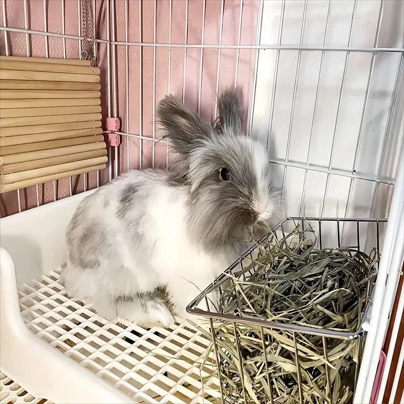 Rabbit Food Basket