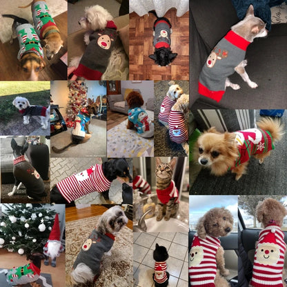 Pet Sweaters for Dogs