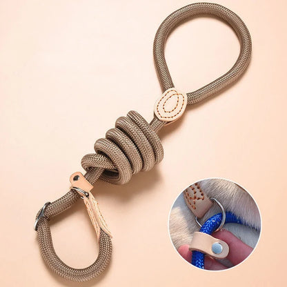 Braided Slip Rope Lead Dog Leash