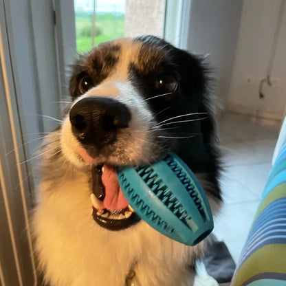Pet Chew Toys for Teeth Cleaning for Dogs and Cats
