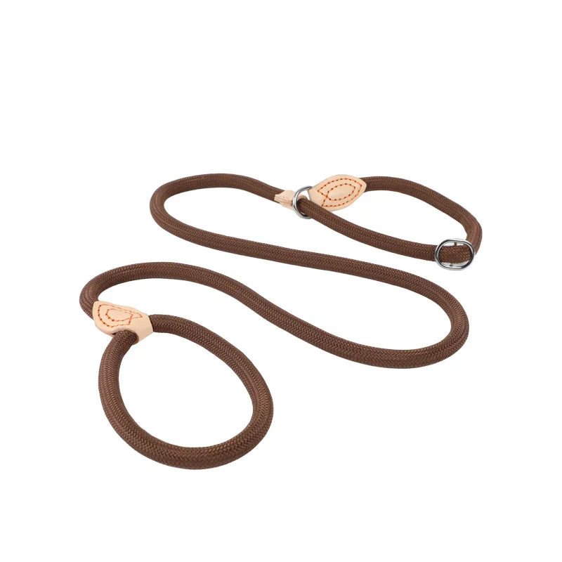 Dog Slip Rope Lead Leash