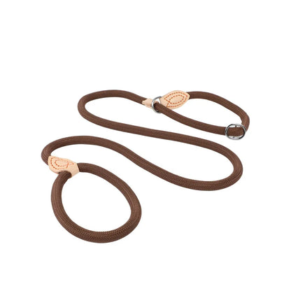 Dog Slip Rope Lead Leash