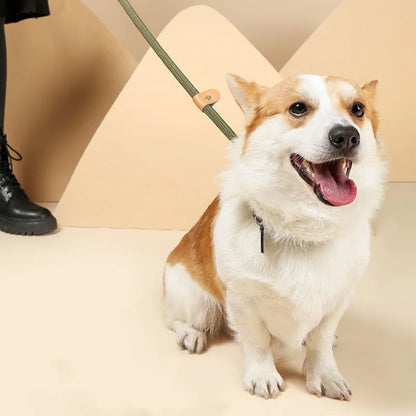 Braided Slip Rope Lead Dog Leash