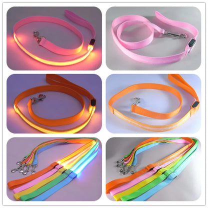 Luminous LED Light Up Dog Leash