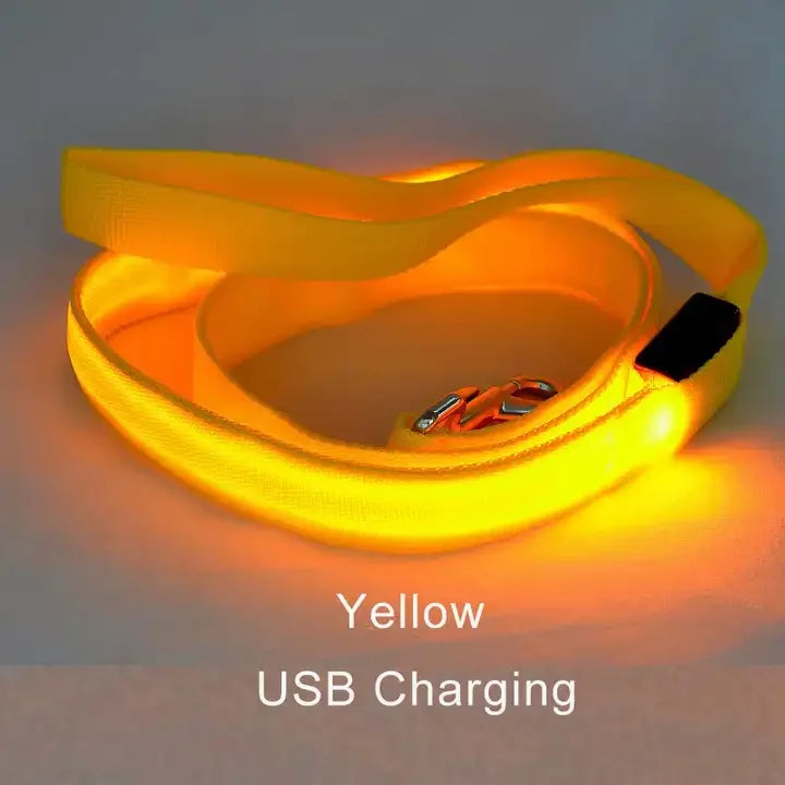 Luminous LED Light Up Dog Leash
