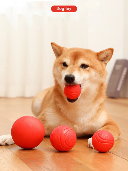 MADDEN S-XL Sizes Solid Rubber Balls for Dogs and Cats