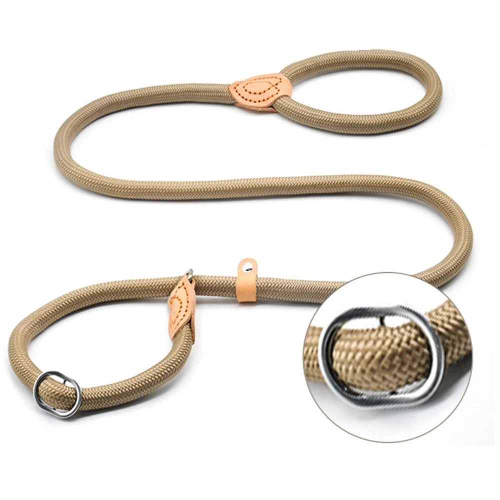 Dog Slip Rope Lead Leash