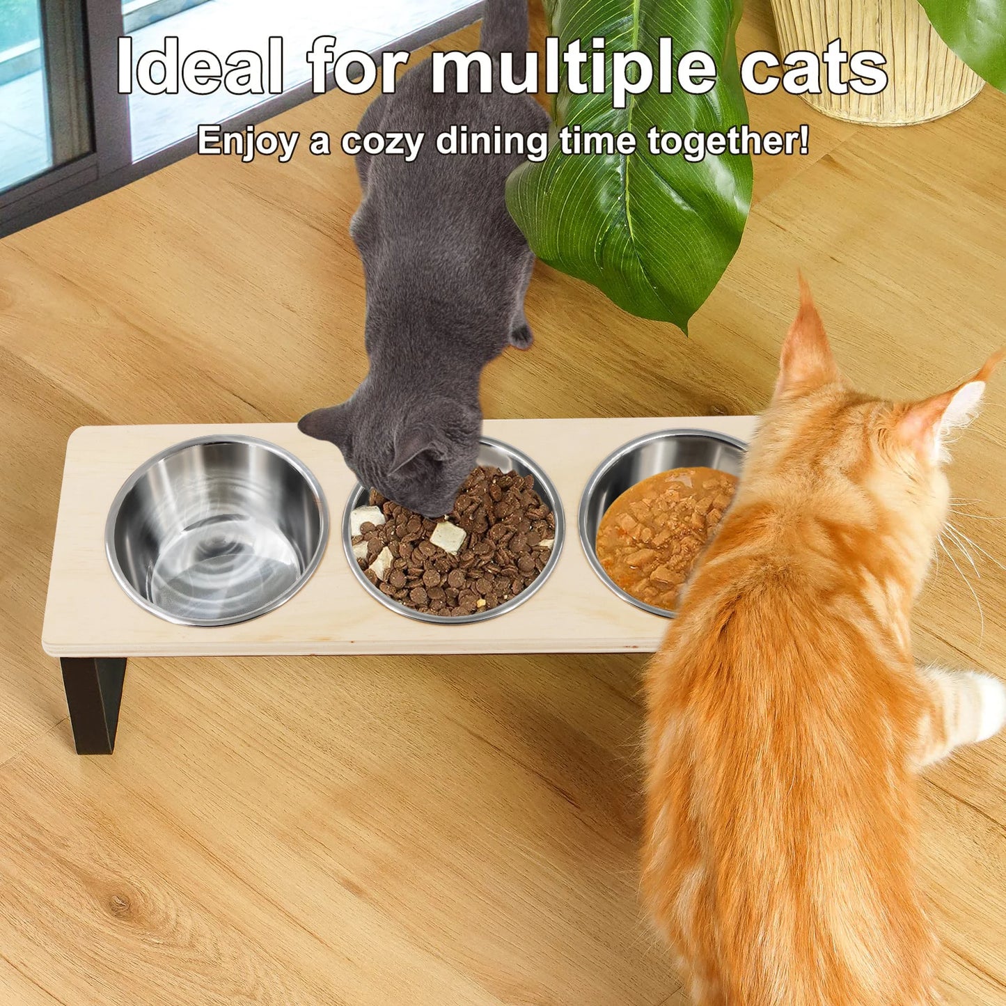 Elevated Cat Bowl Feeder