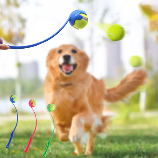 Pet Ball Launcher Stick - Hands-Free Dog Ball Thrower