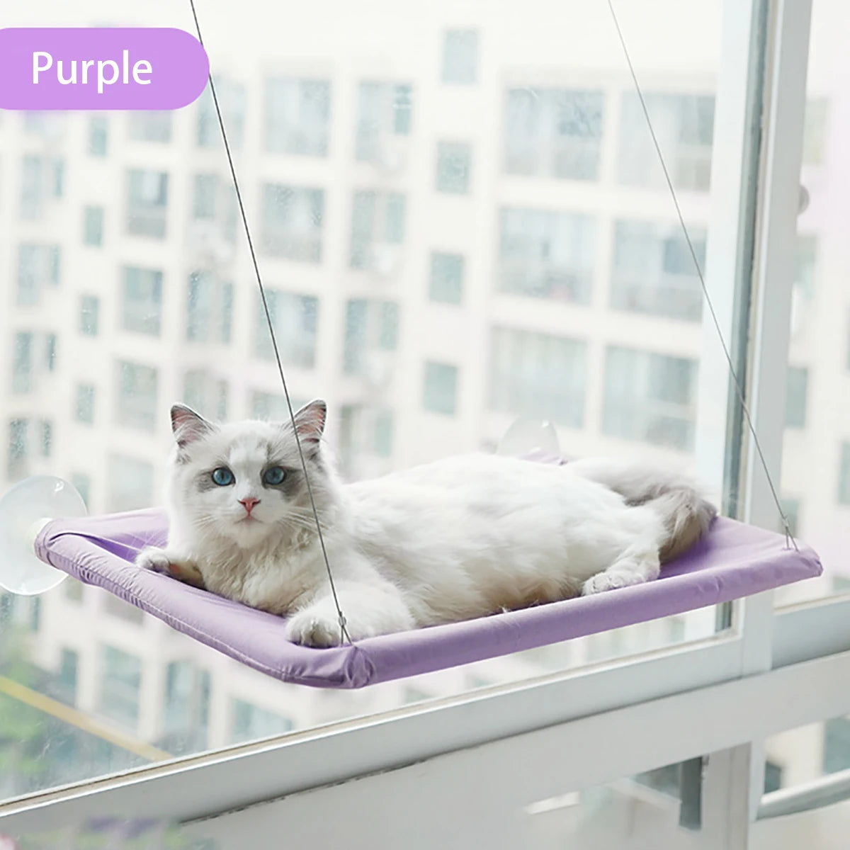 20KG Pet Cat Hammock