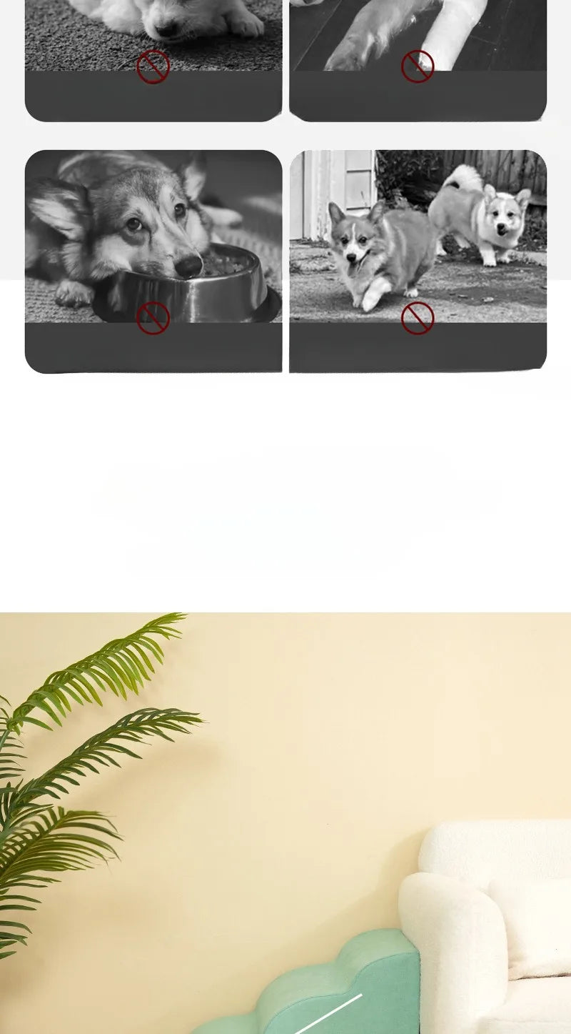 Step Stair/Ramp for Dogs and Cats