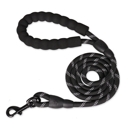 Reinforced Leashes for Dogs