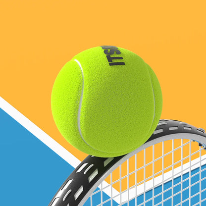 Tennis Balls with Mesh Carry Bag for Dogs and Cats