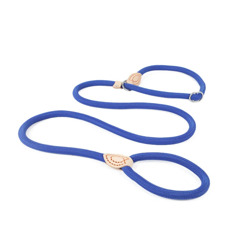 Dog Slip Rope Lead Leash