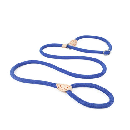 Dog Slip Rope Lead Leash