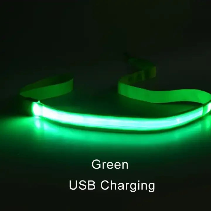 Luminous LED Light Up Dog Leash