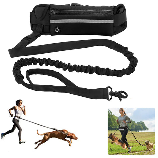 Hands Free Reflective Dog Leash