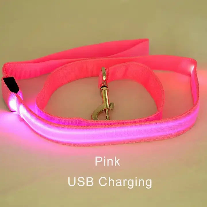 Luminous LED Light Up Dog Leash
