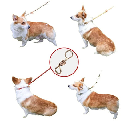 Braided Slip Rope Lead Dog Leash
