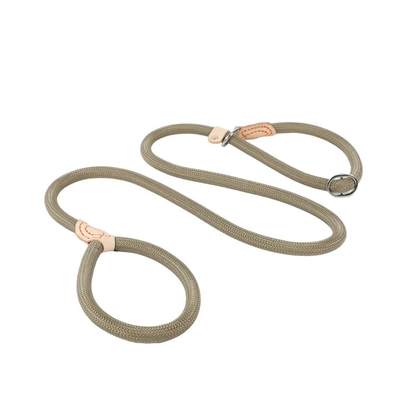 Dog Slip Rope Lead Leash
