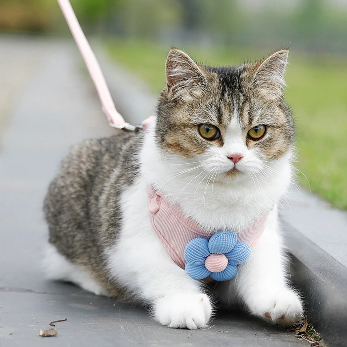 Adjustable Harness for Dogs and Cats