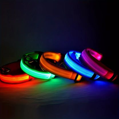 Nylon LED Night Safety Glow In The Dark Dog Leash