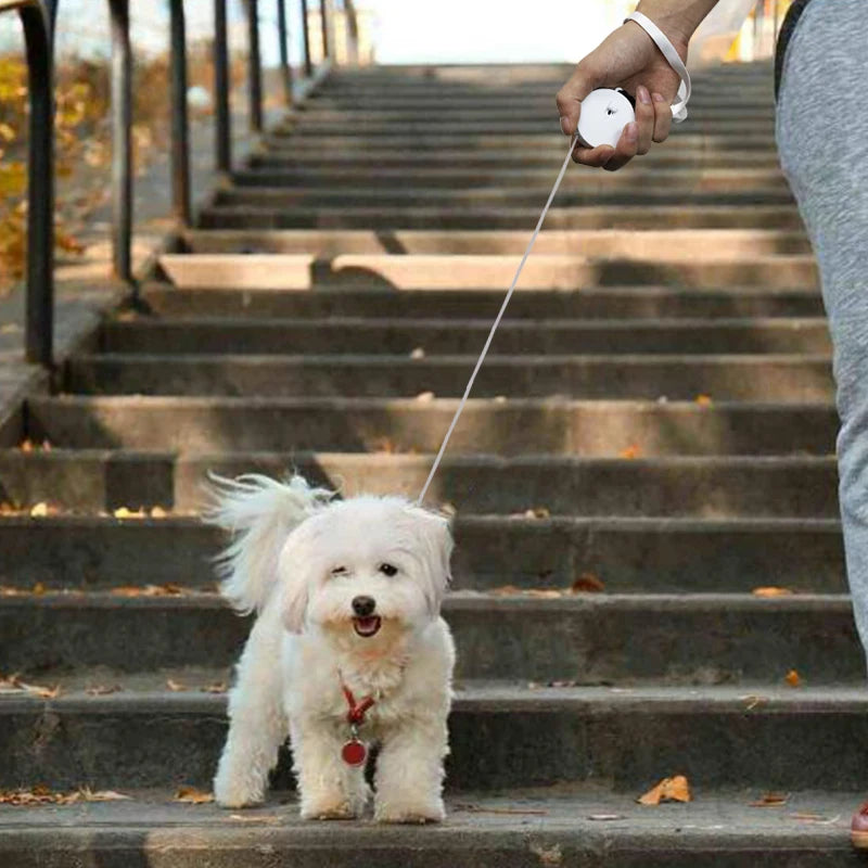 Retractable 2M Dog Leash