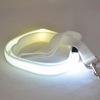 Luminous LED Light Up Dog Leash