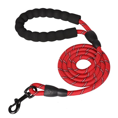 Reinforced Leashes for Dogs