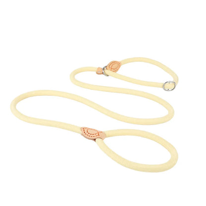 Dog Slip Rope Lead Leash