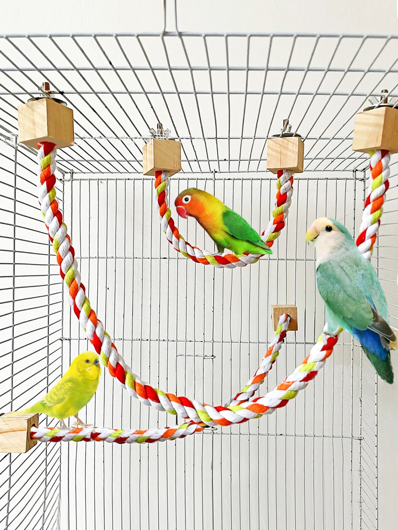 Pet Bird Bite and Swing Rope