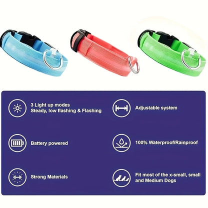 Nylon LED Night Safety Glow In The Dark Dog Leash