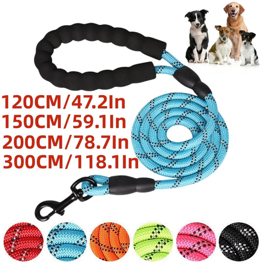 Reinforced Leashes for Dogs
