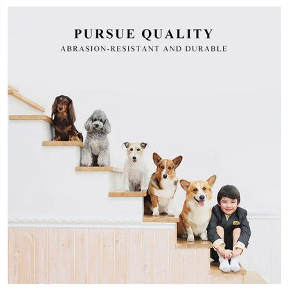 Portable Pet Carrier for Cats and Small Dogs