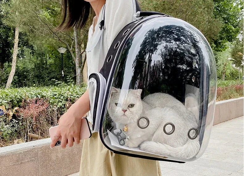 Breathable Pet Cat Carrying Bag for Cats