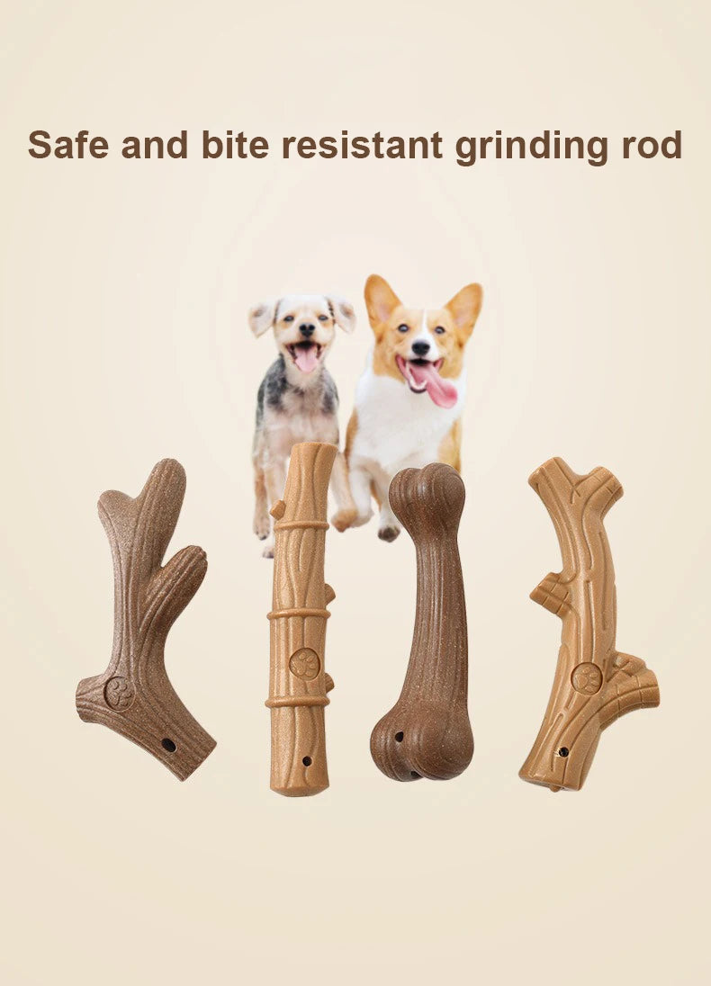 Interactive Bone Training Toy for Dogs