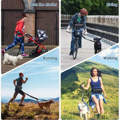 Hands Free Reflective Dog Leash