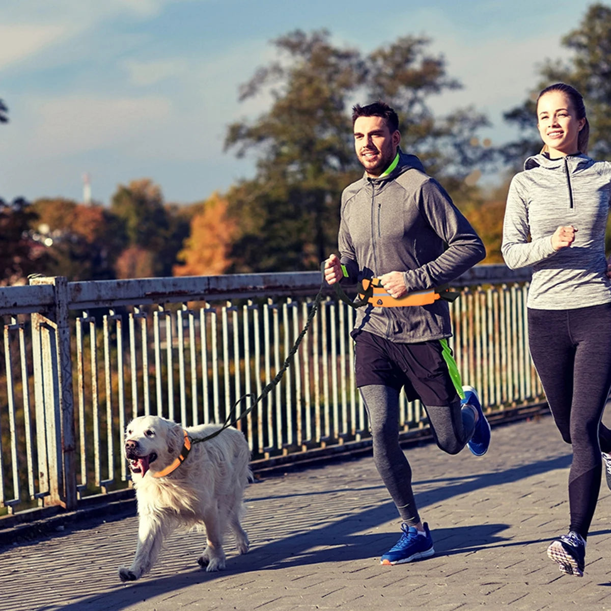 Hands Free Reflective Dog Leash