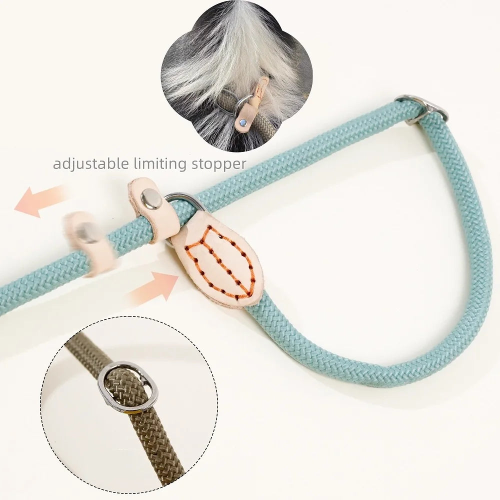 Dog Slip Rope Lead Leash