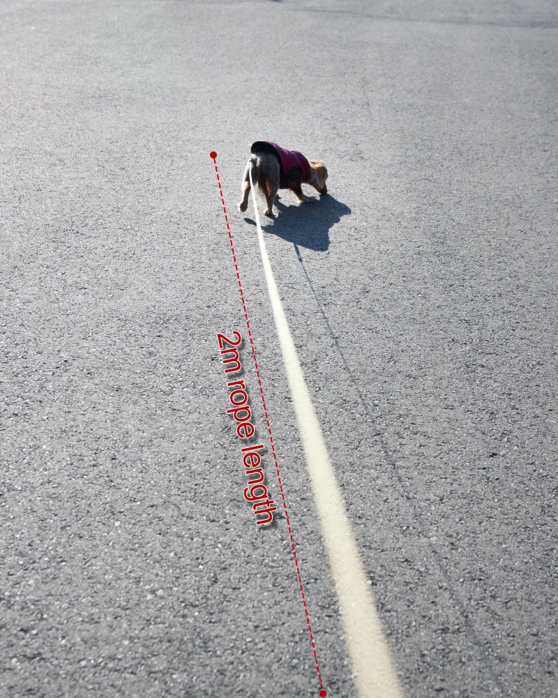 Retractable 2M Dog Leash