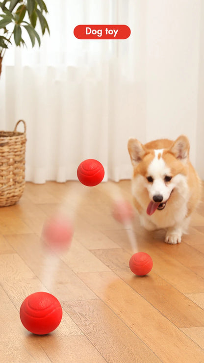 MADDEN S-XL Sizes Solid Rubber Balls for Dogs and Cats