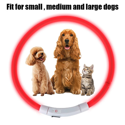 Night Safety Flashing Glow Collar for Dogs and Cats