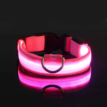 Nylon LED Night Safety Glow In The Dark Dog Leash