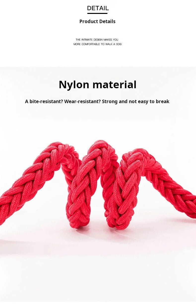Strong 5-Foot Braided Dog Leash