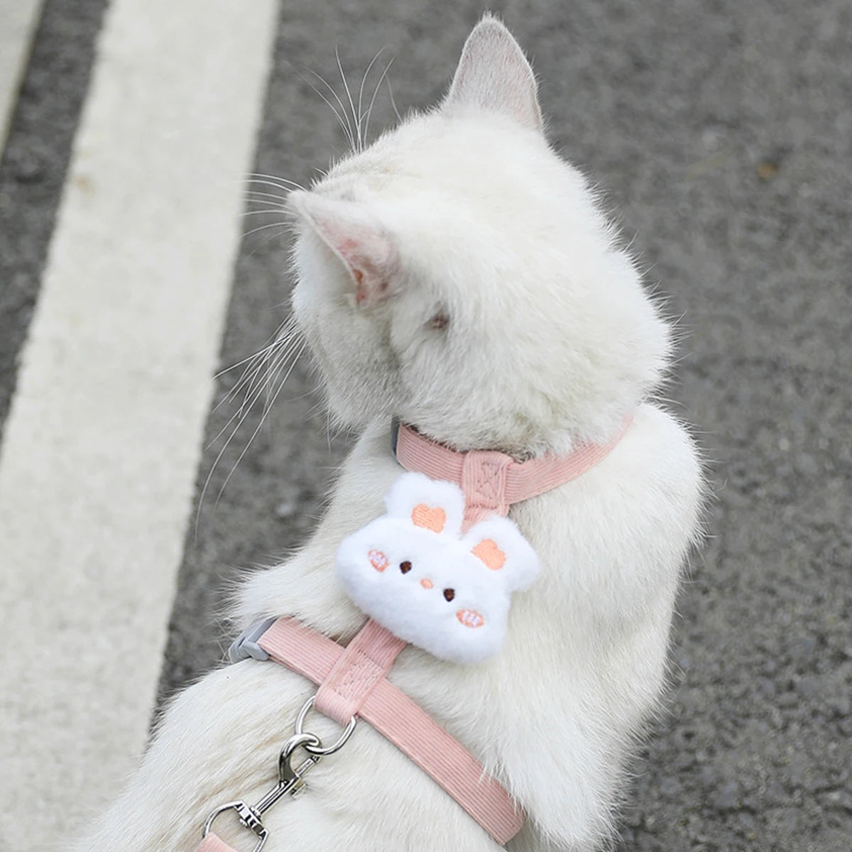 Adjustable Harness for Dogs and Cats