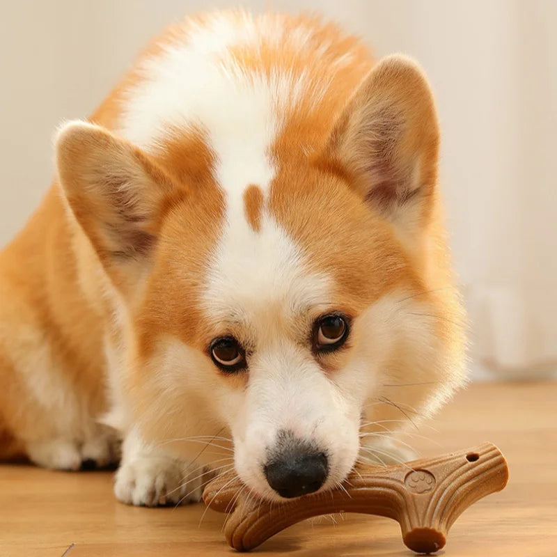 Interactive Bone Training Toy for Dogs