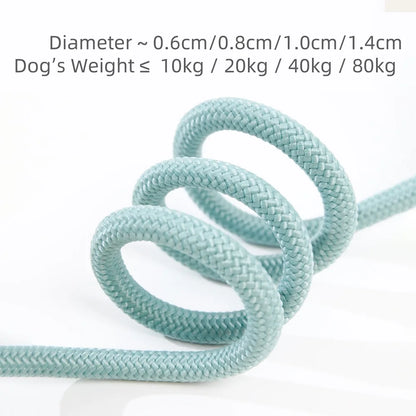 Dog Slip Rope Lead Leash