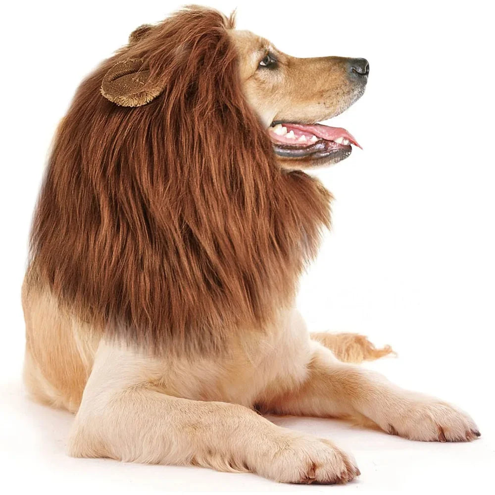 Lion Mane Costume For Dogs