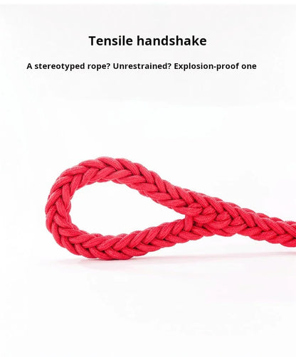 Strong 5-Foot Braided Dog Leash
