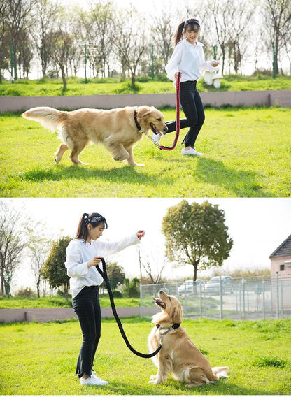 Strong 5-Foot Braided Dog Leash